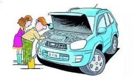 新闻爆料汽车视频下载,新闻爆料背后的精彩瞬间